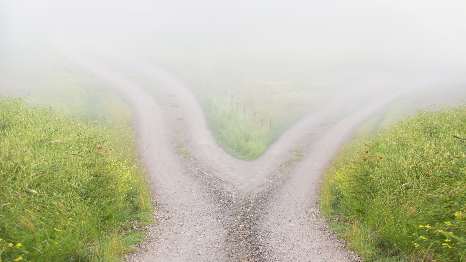 Blurry road with two pathways surrounded by grass